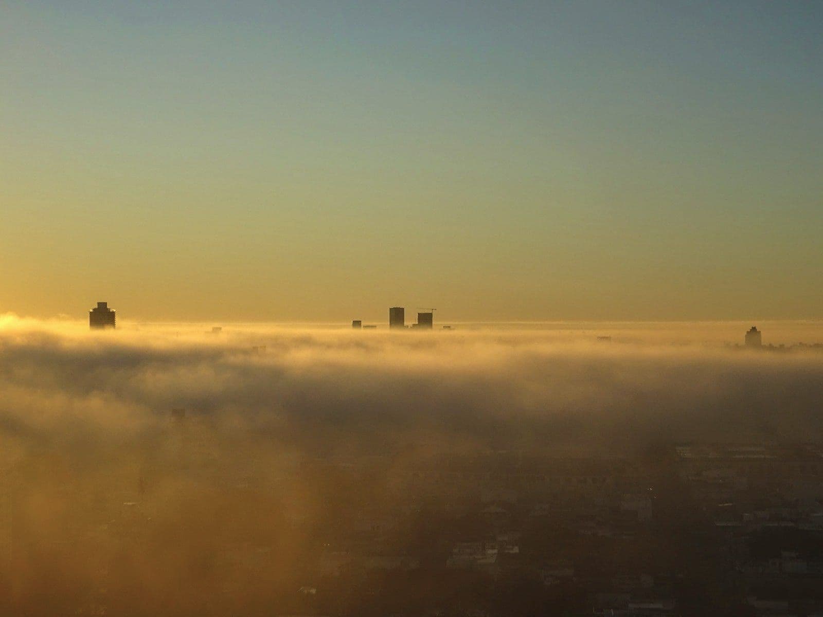 City skyline emerging from morning fog at sunrise